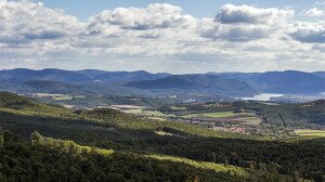 Kéktúra a Magas-Börzsöny peremén