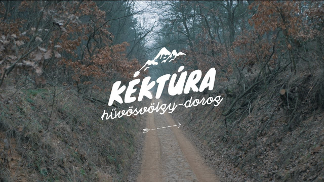 KÉKTÚRA: Hűvösvölgy-Dorog / National Blue Trail section hike - 4K