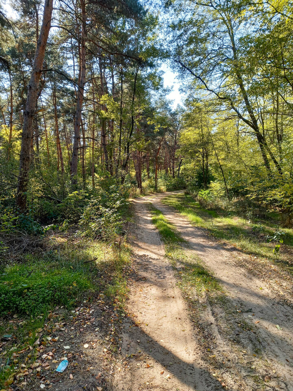 kéktúrázás napja, alföld, alföldi kéktúra,