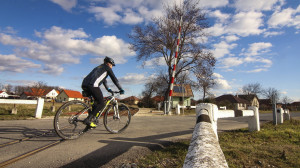 Kerékpárral a Fertő-tájon