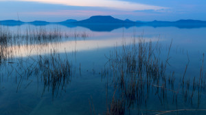 Kész vadon a Balaton