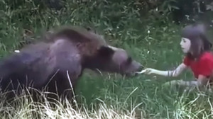 Kézből etetik a vadon élő medvéket - döbbenetes videó