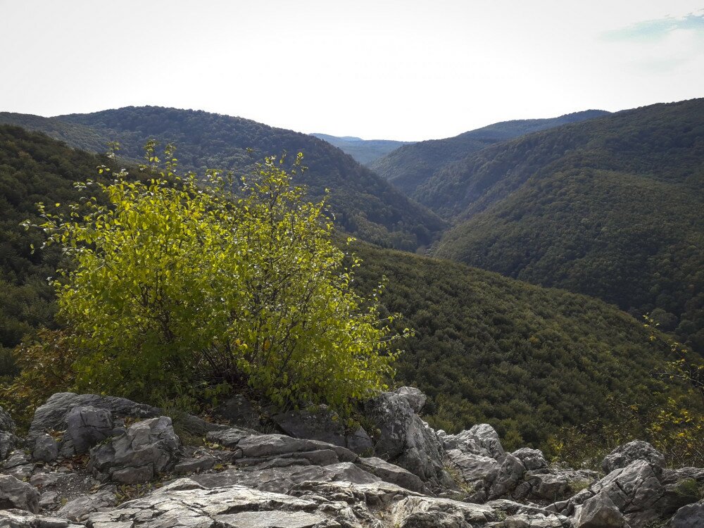 Kilátás a Fehér-kőről