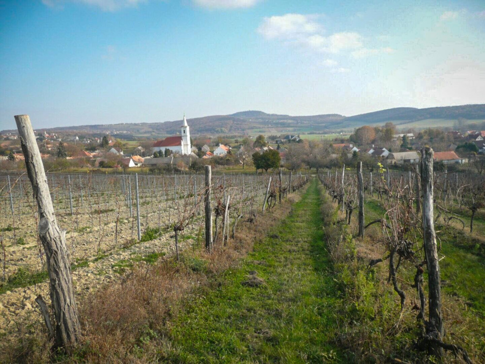 Kilátás a Nivegy-völgyre, Balatoncsicsóra