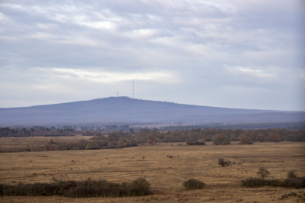 Kilátó Nagyvázsonyi Katonai torony-kilátó