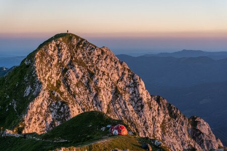 Királyi hegyek a zergék birodalmában