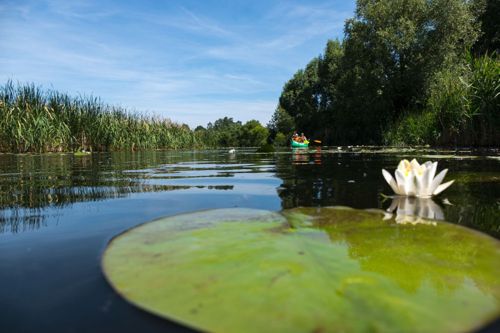 Kis-Balaton családi evezés