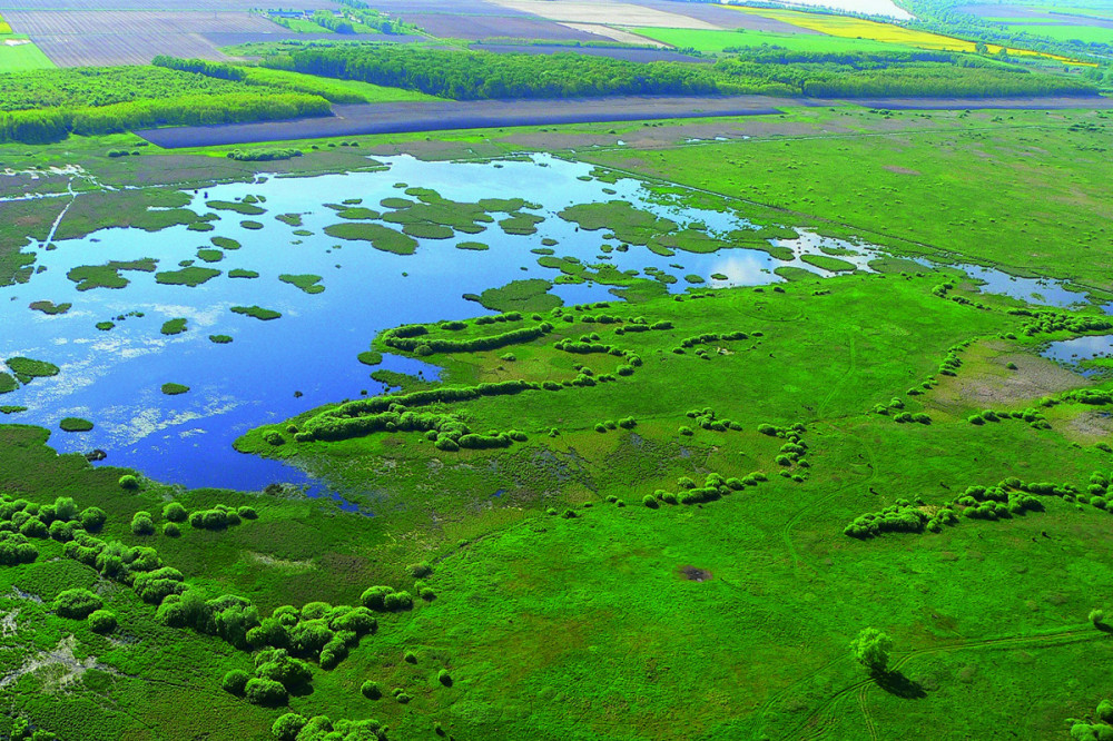 kisbalaton_foto_somlai_szilard.jpg