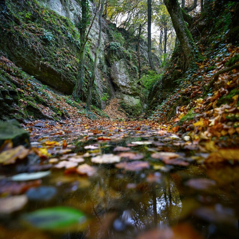 Kőmosó-szurdok