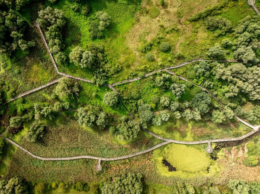 Kopački Rit Nature Park_Photo_Julien Duval