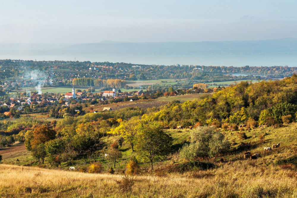 Koroshegy-Balaton-GA