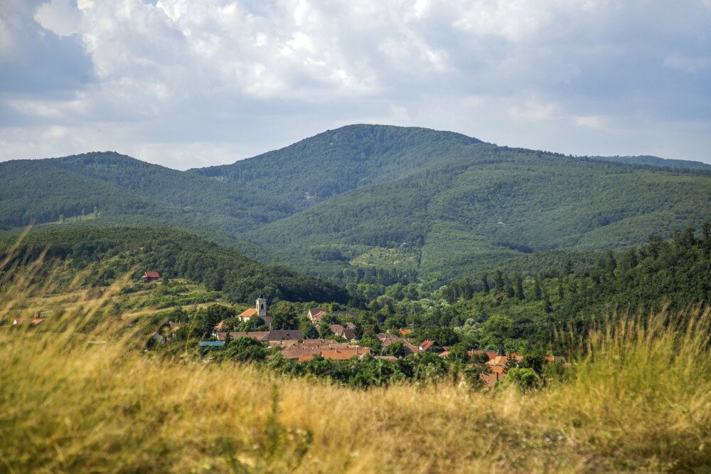 Kospallag-magas-Borzsony-1-FOTO-Gulyas-Attila