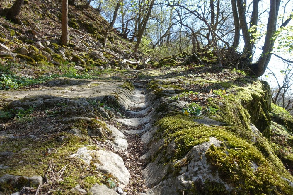 Kőszállító szekerek keréknyoma a kikoptatott mészkőben