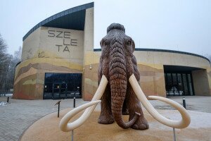 Látogatóközpont a Bükk keleti kapujában