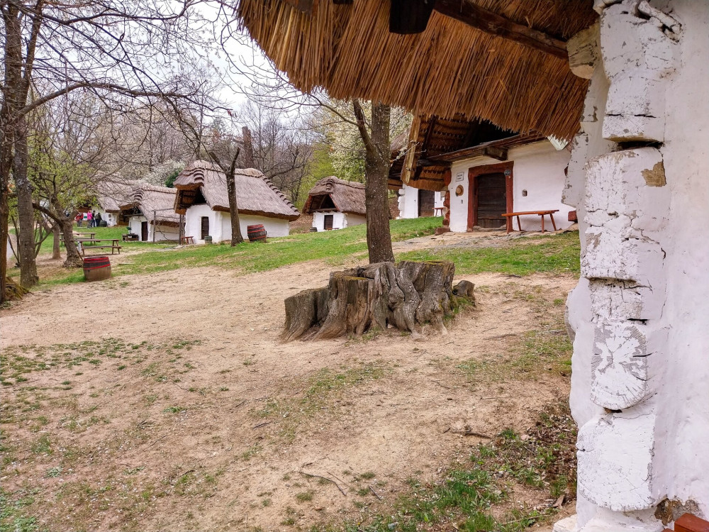 llanatban megmentett nyolc kis boronyafalú, zsúpfedeles pince alkotja a híres Cáki Pincesort