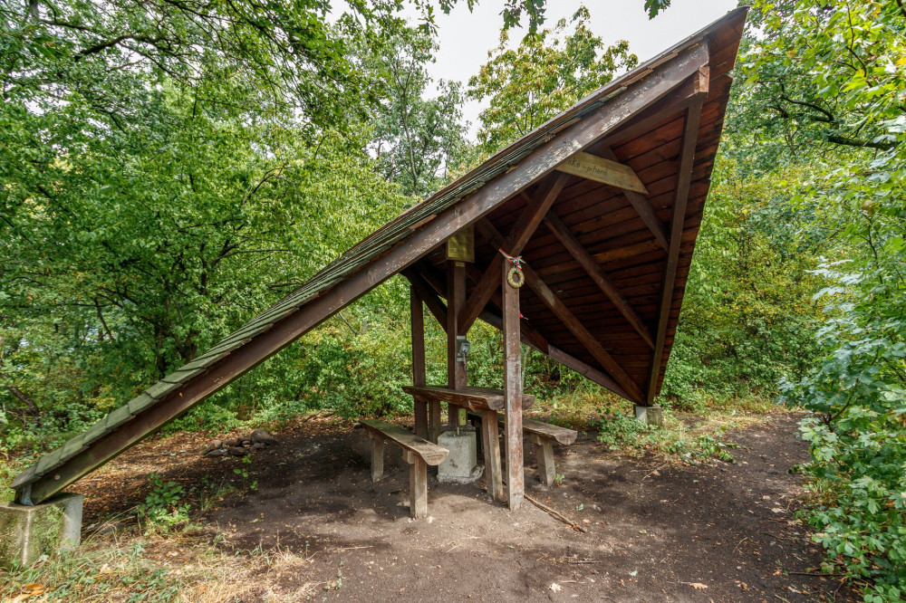 Lokó-pihenő a Börzsönyben