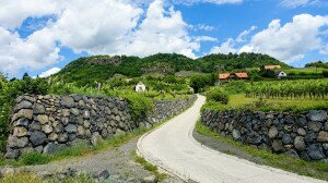 Magányos tanúhegy a Bakony peremvidékén – Somló 