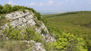 Májusi búcsúból a bajóti Öreg-kőhöz