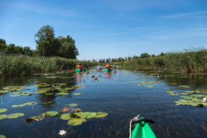 Megnéztük Fekete István Kis-Balatonját