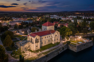 Megúszták a szilveszteri petárdázást a tatai madarak