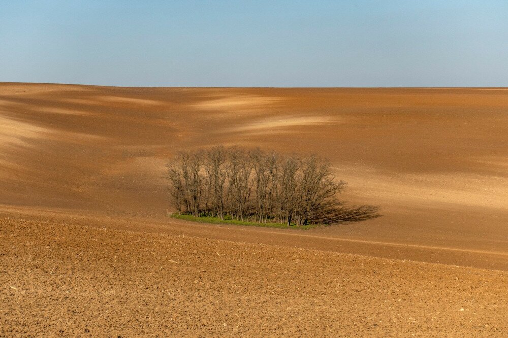 Mezőgazdasági föld Perbál határában