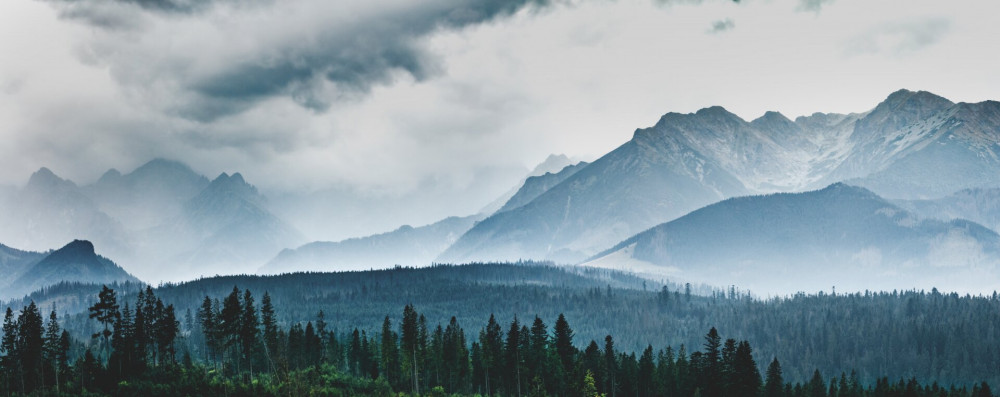 Mountain peaks in clouds and fog. Tatra Mountains, Poland.