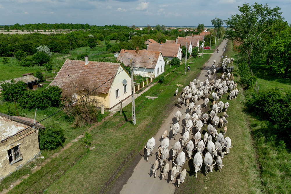 MTI/Czeglédi Zsolt