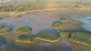 Napi négy centit apad a Tisza-tó 