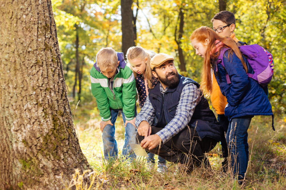 Nice positive young children looking for mushrooms