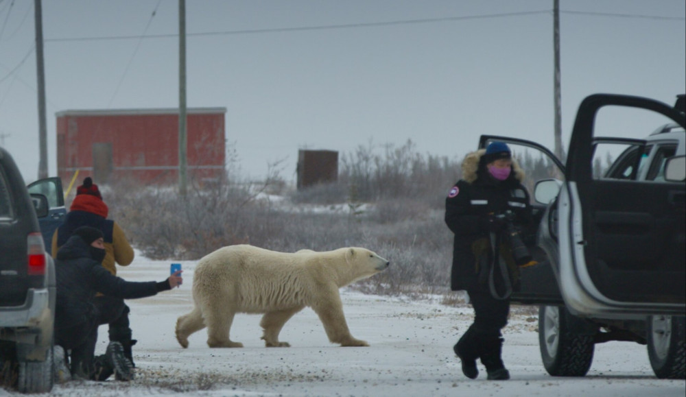 Nuisance_Bear_Film_Foto_Banff_2023