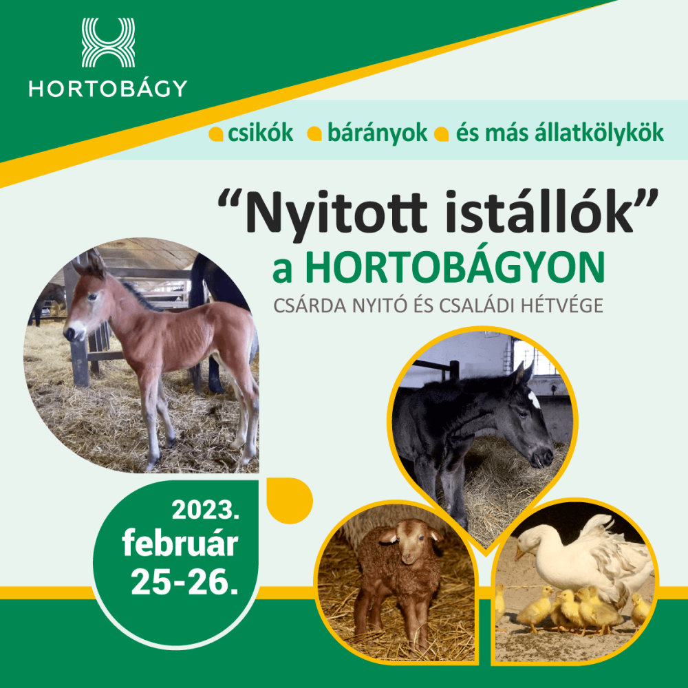 nyitott_istallok_fb_poszt_2023_02_1200x1200px