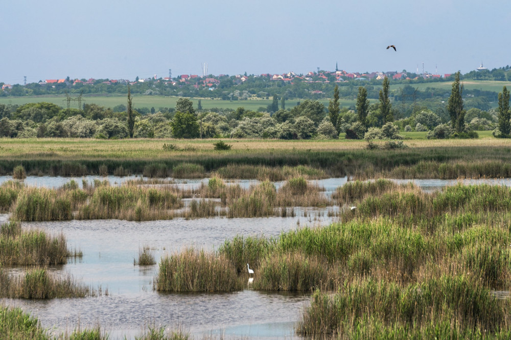 Nyugati-medence-tavoli-Szekesfehervar-FOTO-Gulyas-Attila