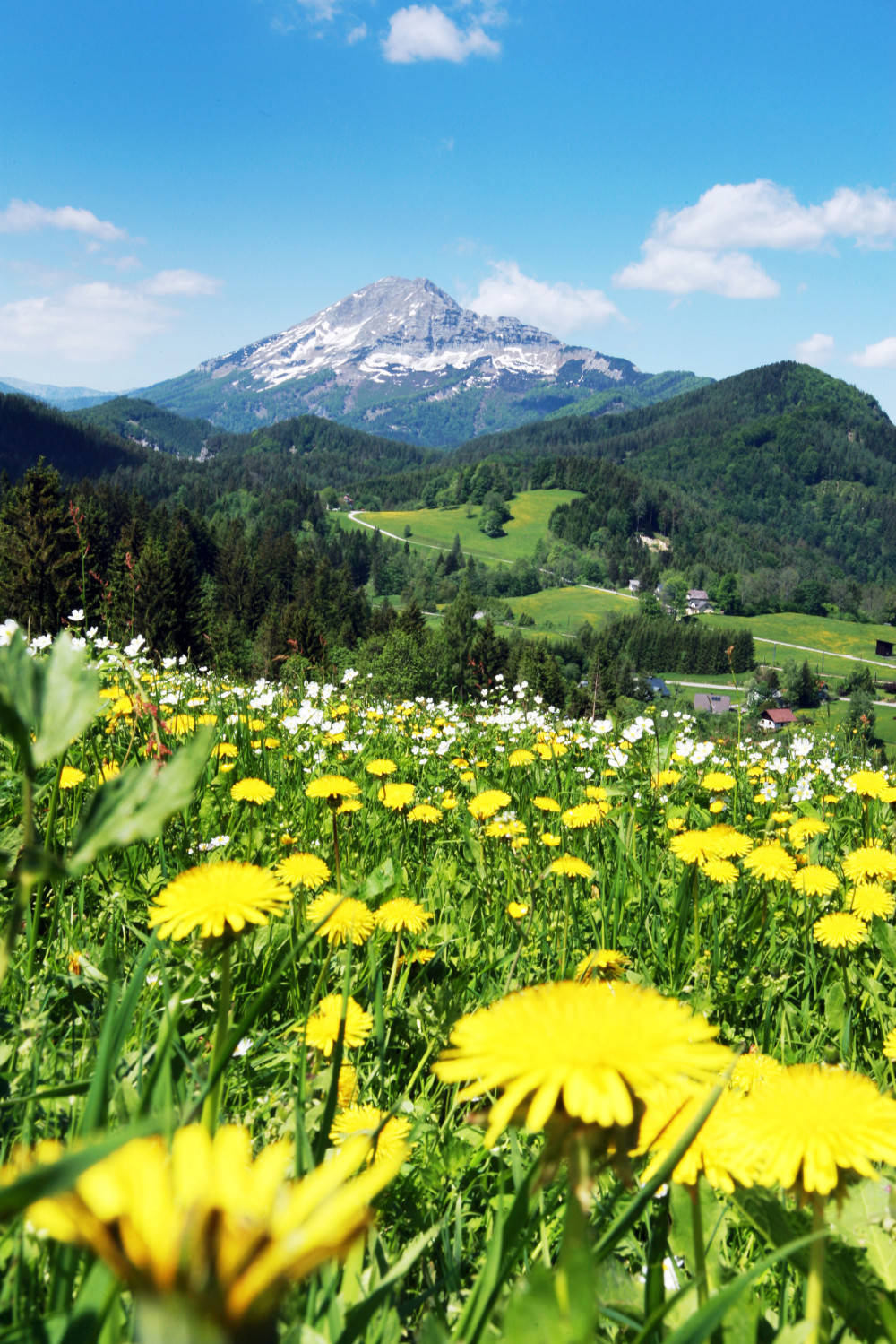 oetscher___c_weinfranz_at.jpg