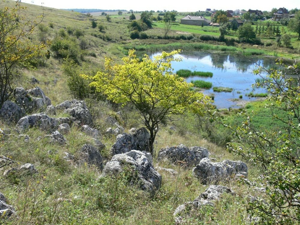 ok_baradla_tanosveny_ordogszantasvag.jpg