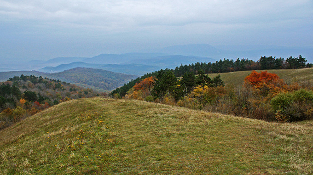 okt-17_029-2.jpg