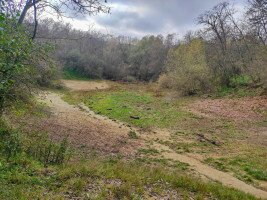 Összefogás a pilisszentiváni Jági-tóért