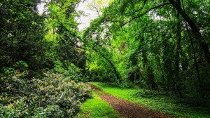 Öt meseszép arborétum Kőszegtől Tiszakürtig