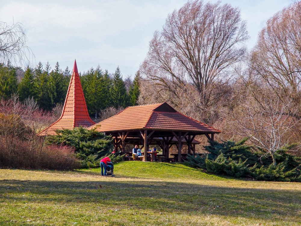 P3131496-erdei pihenő-FOTO-Somo