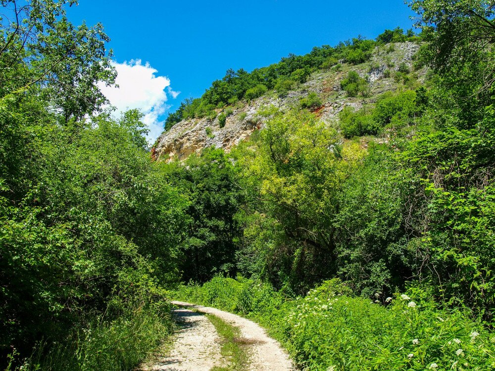 P6306134_Hor-volgyi osveny_FOTO_JA