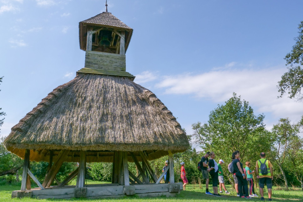 Pankaszi haranagláb - Erdő-Tóth Zsófia