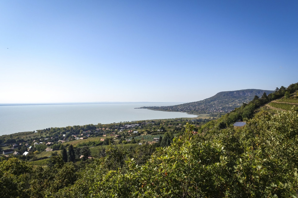 Panoráma a Folly Arborétum kilátójából