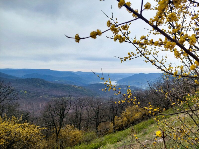 Panoráma a Moli-pihenőről