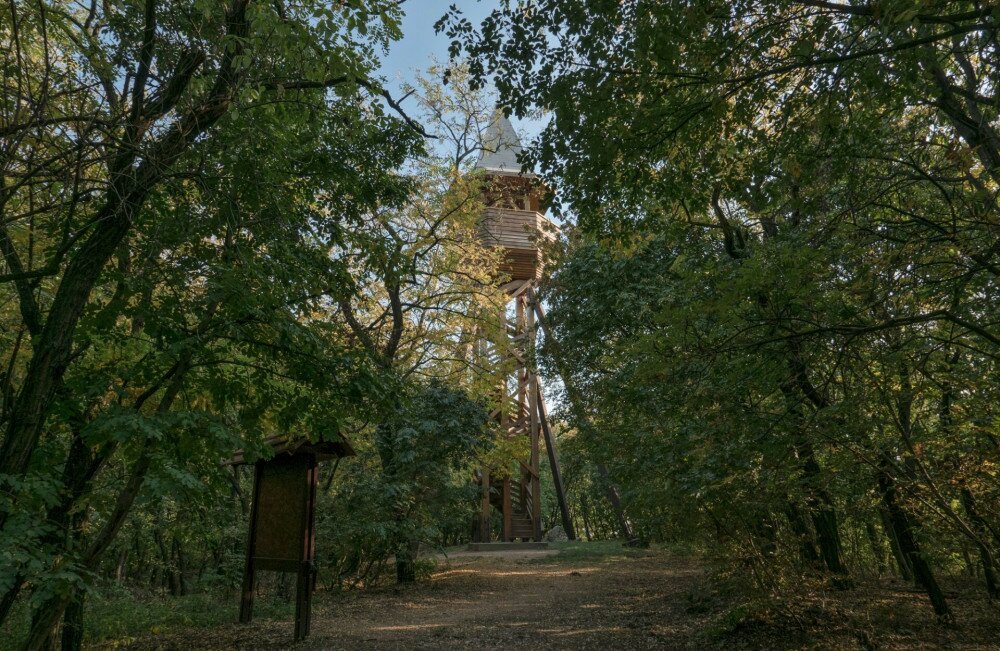 panorama-kilato-a-pakozd-sukoroi-arboretumban