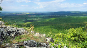 Panorámák a Naszály hegyről