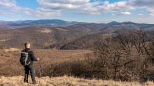 Panorámatúra a Börzsöny egyik legszebb kilátópontjára – Gömbölyű-kő