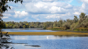 Pazar madárvilág és Árpád-kori emlékek a Holt-Tisza mentén