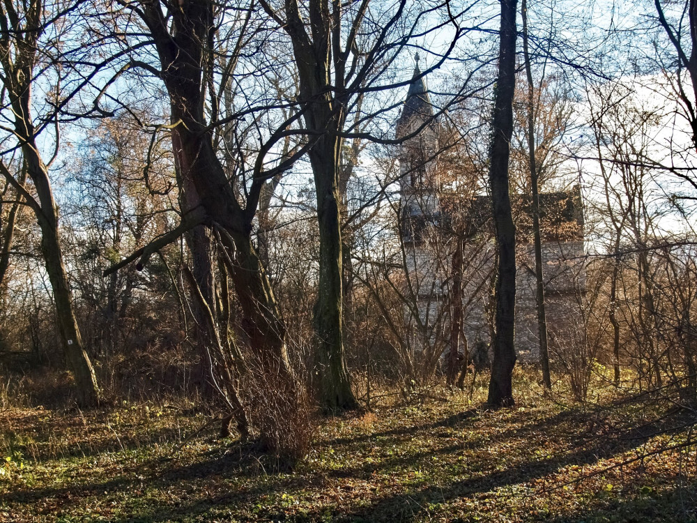 PC278513_Növényzettől eltakart Tarányi-kápolna_FOTO-JA