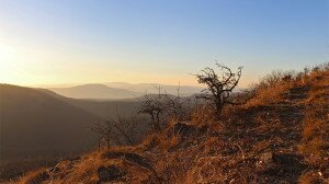 Pilis, pálos, panoráma