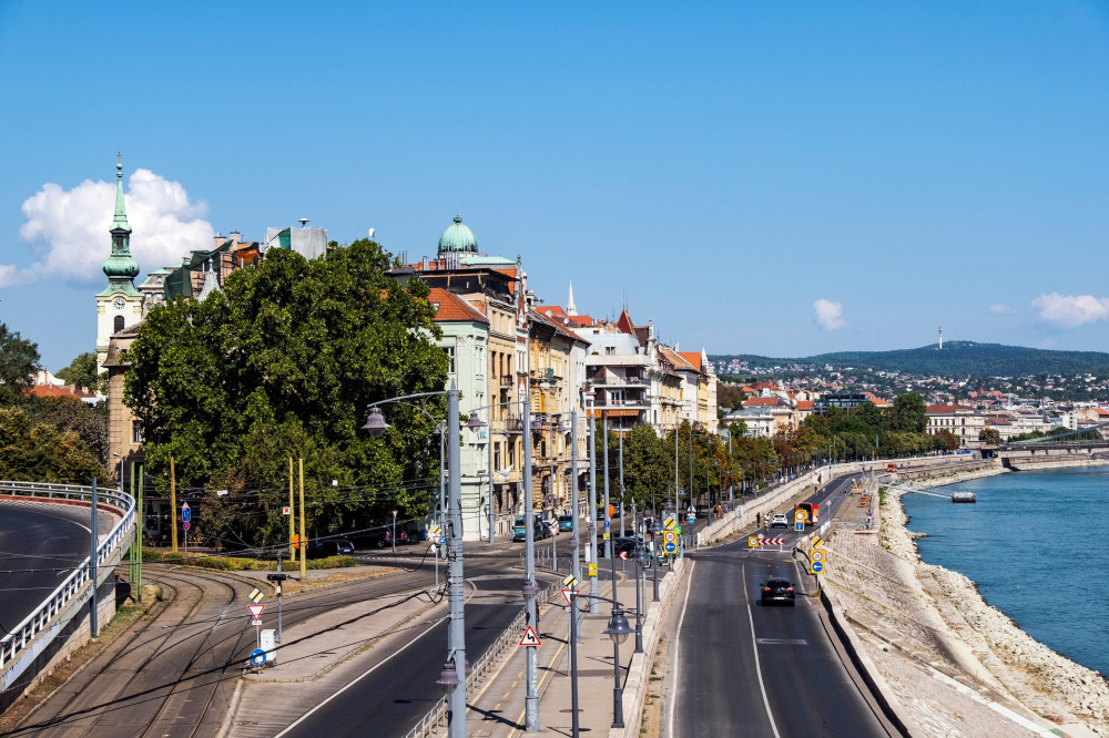 Platán az Erzsébet híd budai hídfőjénél