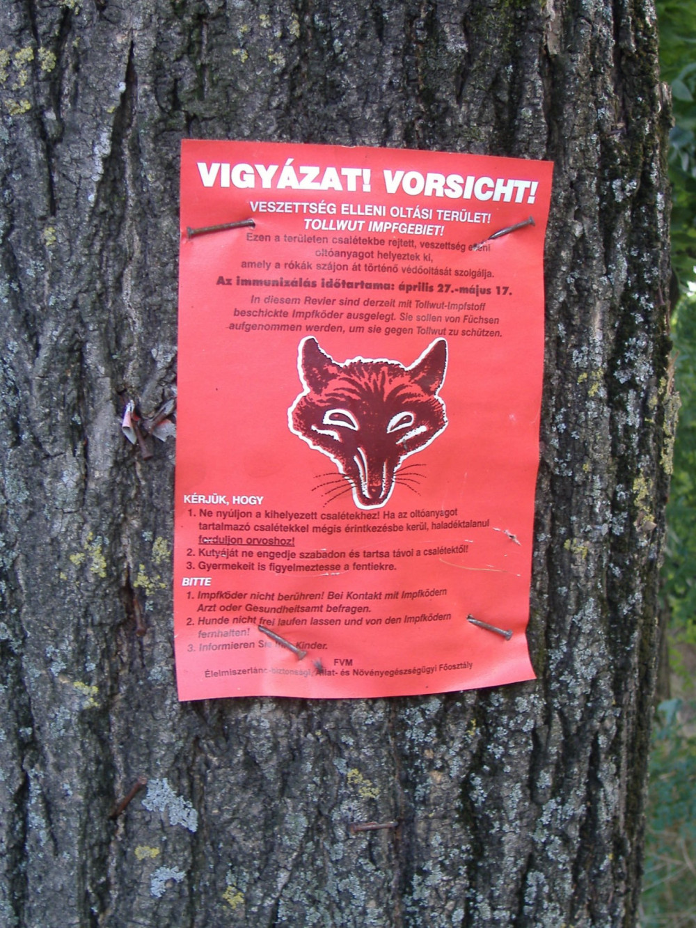 Rabies_warning_Makó